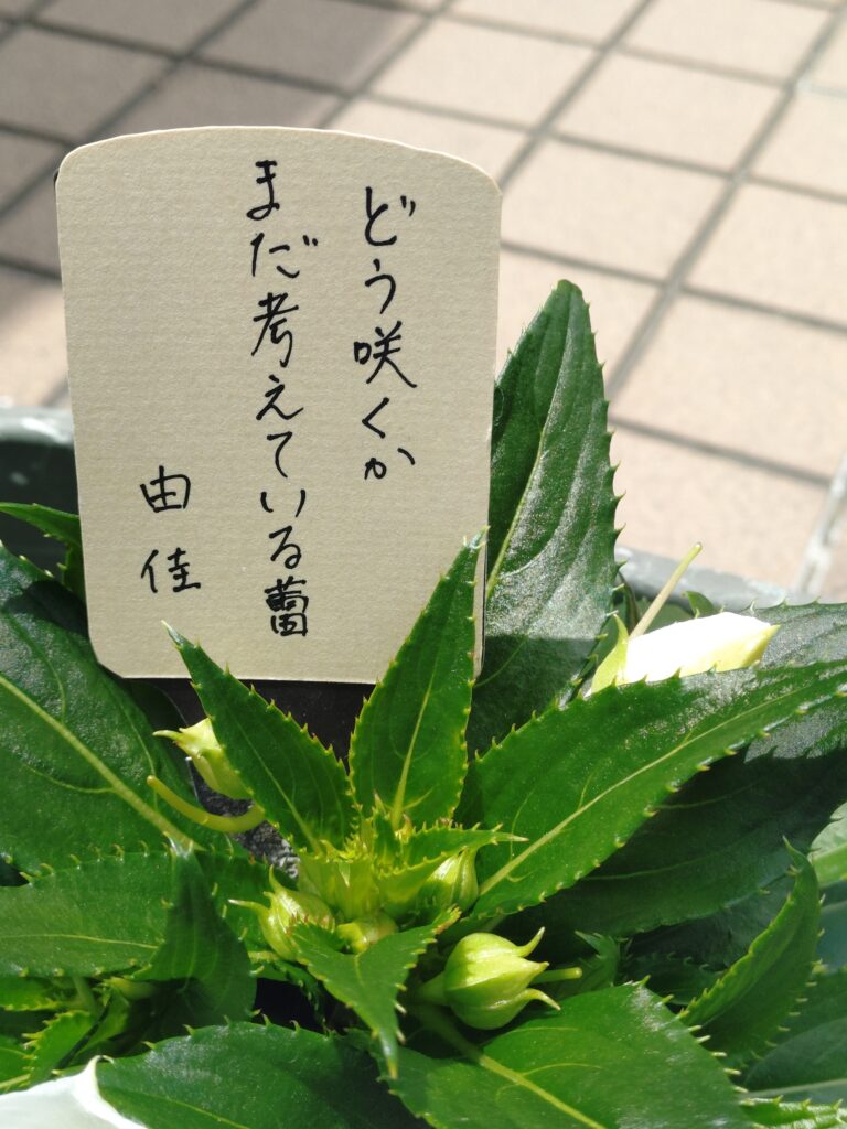 #160 どう咲くかまだ考えている蕾　小原由佳