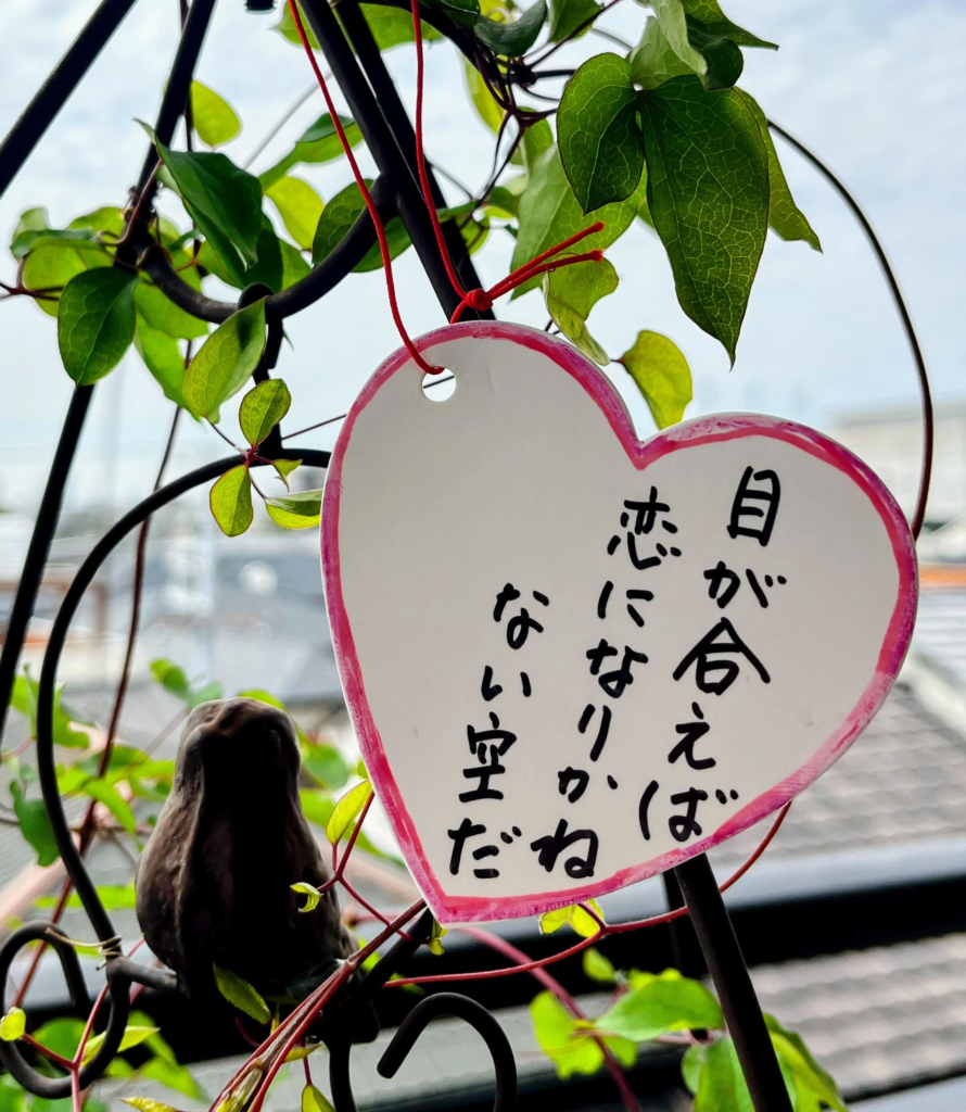 #197 目が合えば恋になりかねない空だ　黒川佳津子